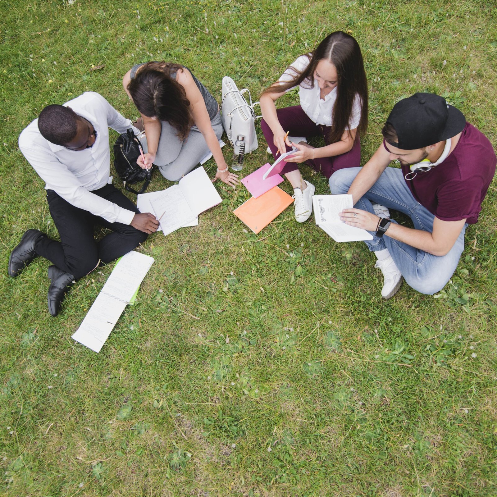 people sitting grass studying min scaled